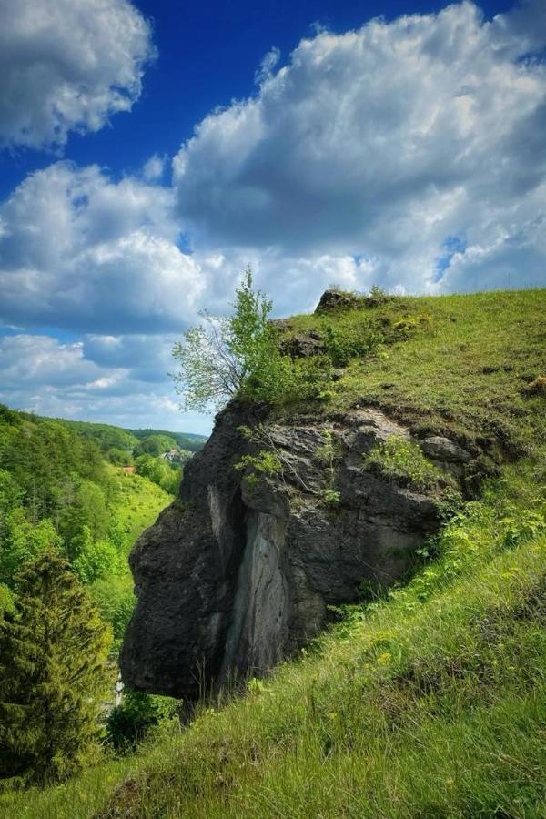 Steinberg-Blick Διαμέρισμα Herzberg am Harz Εξωτερικό φωτογραφία